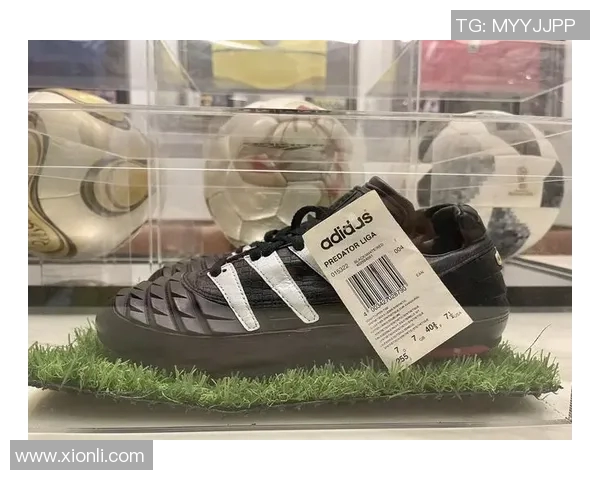 足球明星是否推出个人签名鞋子及其背后的故事与市场影响分析 足球明星是否推出个人签名鞋子及其背后的故事与市场影响分析